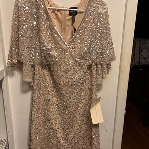 Adrianna Papell Dress Size 10 never worn. new w/tags